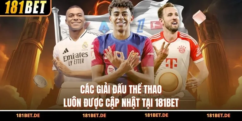 Các giải đấu thể thao luôn được cập nhật tại 181BET 
